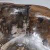 Schale versteinertes Holz 56288