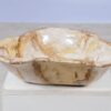 Schale versteinertes Holz 57002