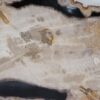 Teller versteinertes Holz 57325