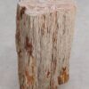Bijzettafel versteend hout 55000
