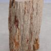 Bijzettafel versteend hout 55000
