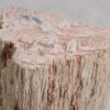 Bijzettafel versteend hout 55000