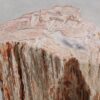 Bijzettafel versteend hout 55000