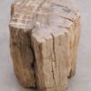 Bijzettafel versteend hout 56003