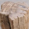 Bijzettafel versteend hout 56003
