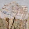 Bijzettafel versteend hout 56003