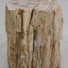 Bijzettafel versteend hout 56003