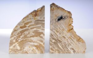 Bookends petrified wood 53368