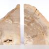 Bookends petrified wood 53369