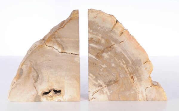 Bookends petrified wood 53369