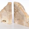 Bookends petrified wood 53369