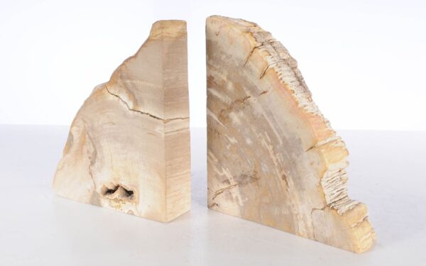 Bookends petrified wood 53369