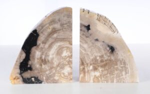 Bookends petrified wood 53370