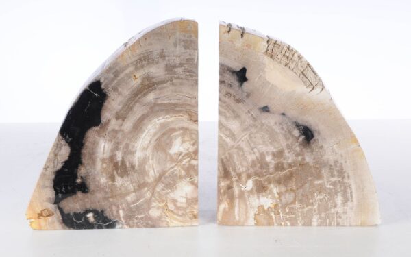 Bookends petrified wood 53370