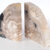 Bookends petrified wood 53370