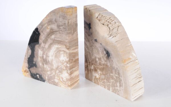 Bookends petrified wood 53370
