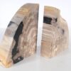 Bookends petrified wood 53370