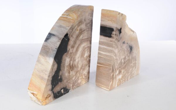 Bookends petrified wood 53370