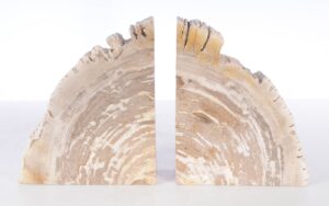 Bookends petrified wood 53371