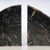 Bookends petrified wood 53376