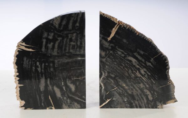 Bookends petrified wood 53376