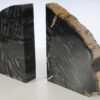 Bookends petrified wood 53376