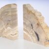 Bookends petrified wood 53378