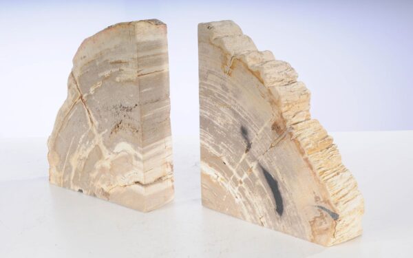 Bookends petrified wood 53378