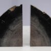 Bookends petrified wood 53380