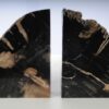 Bookends petrified wood 53381