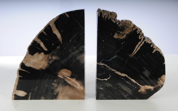 Bookends petrified wood 53381