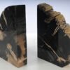 Bookends petrified wood 53381
