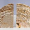 Bookends petrified wood 53383