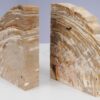 Bookends petrified wood 53383