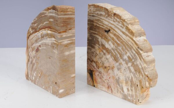 Bookends petrified wood 53383