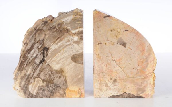 Bookends petrified wood 53385