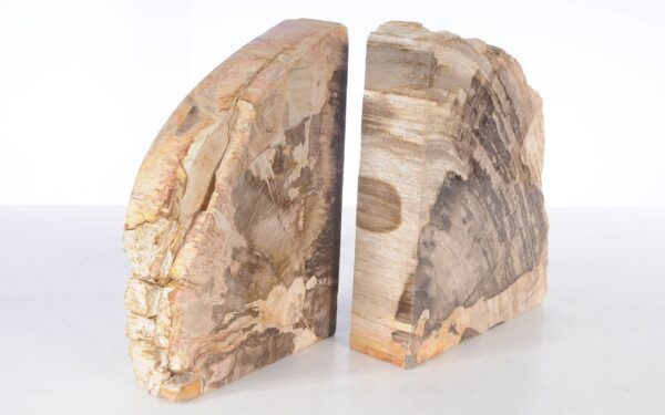 Bookends petrified wood 53385
