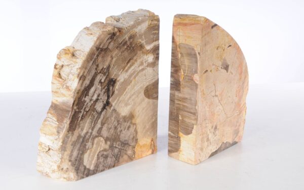 Bookends petrified wood 53385