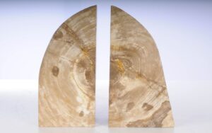 Buchstützen versteinertes holz 53363