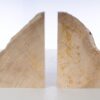 Buchstützen versteinertes holz 53366