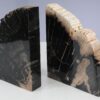 Buchstützen versteinertes holz 53367