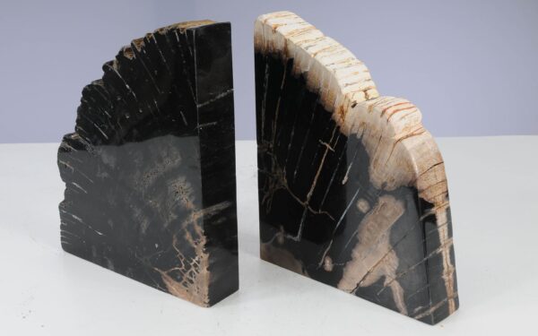 Buchstützen versteinertes holz 53367