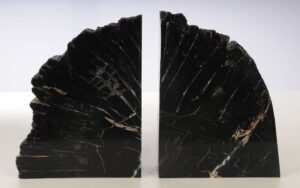 Buchstützen versteinertes holz 53375