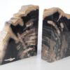 Buchstützen versteinertes holz 53379