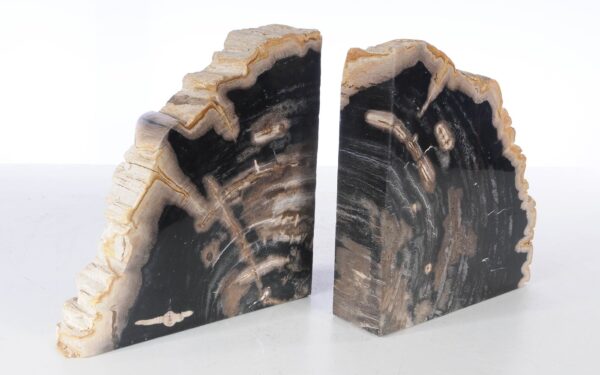 Buchstützen versteinertes holz 53379