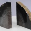 Buchstützen versteinertes holz 53380