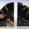 Buchstützen versteinertes holz 53381