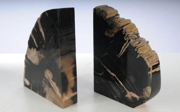 Buchstützen versteinertes holz 53381