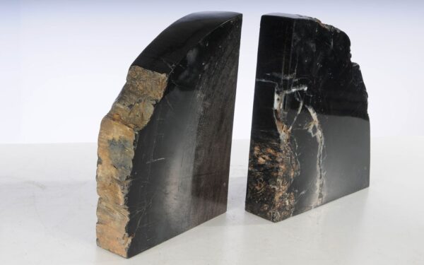 Buchstützen versteinertes holz 53386