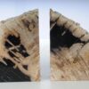 Buchstützen versteinertes holz 53480